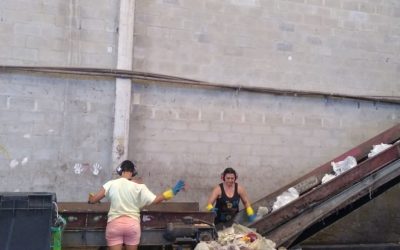 Na Semana do Meio Ambiente, setor de Plásticos mostra como o produto é essencial para a proteção ambiental