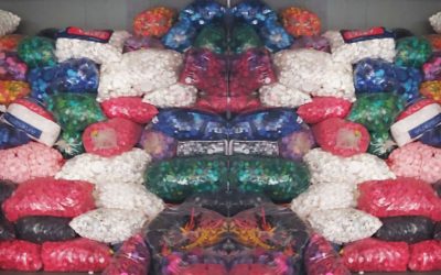 Recursos do projeto Tampinha do Bem vão para entidades de cuidado com animais e de crianças com doenças raras